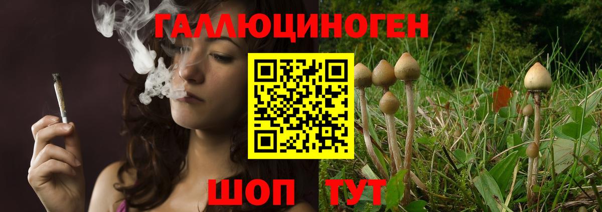 Псилоцибиновые грибы мицелий Муравленко